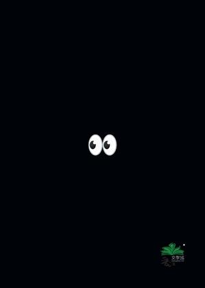 住在对面的漂亮哥哥[先婚后爱]